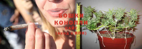 сатива Лагань