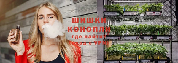 сатива Лагань