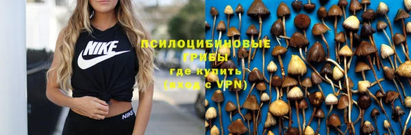сатива Лагань