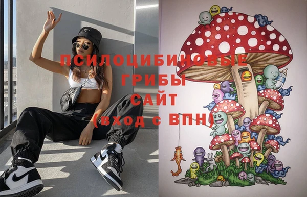 MDMA Premium VHQ Ладушкин