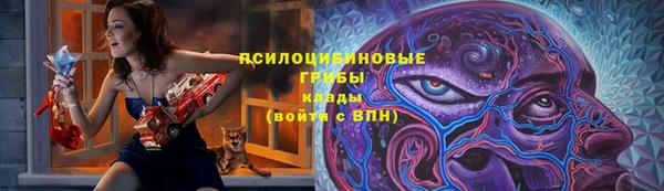 сатива Лагань