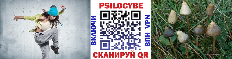 Галлюциногенные грибы мухоморы Щёлково